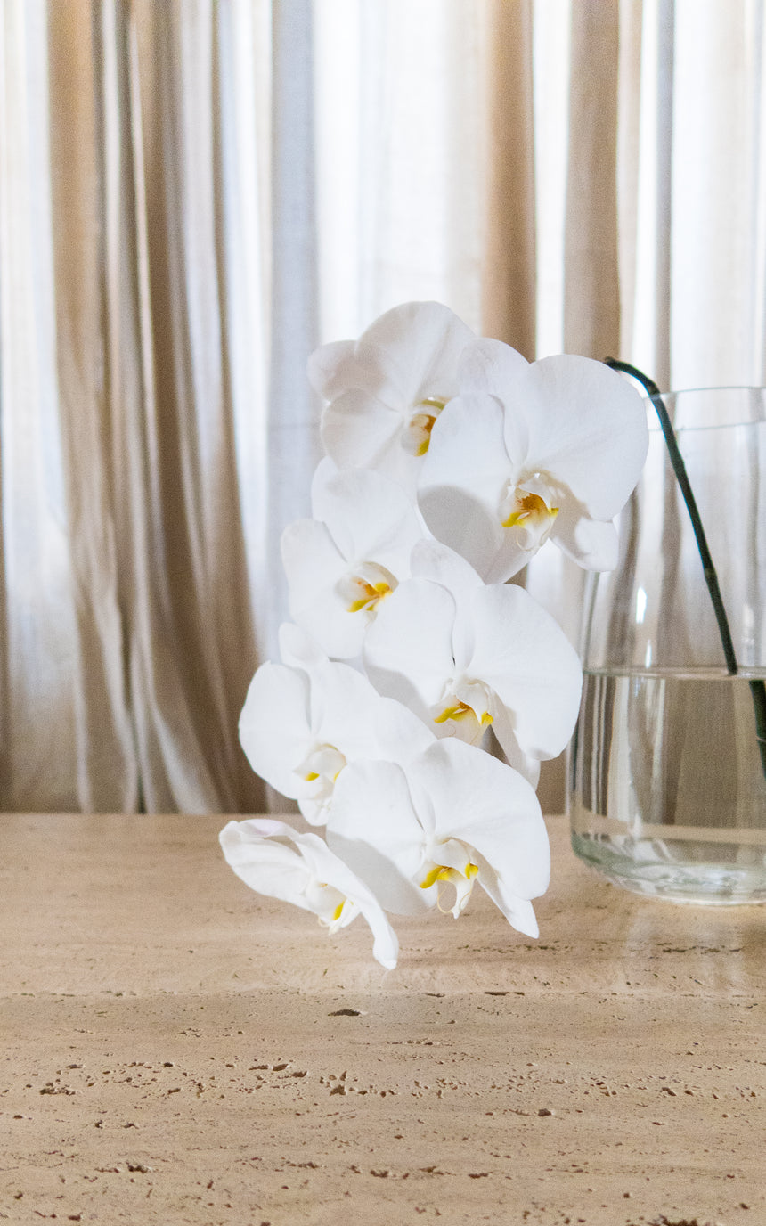 vintage honed unfilled travertine coffee table tables stone flokati velvet modular sofa couch instagram piazza